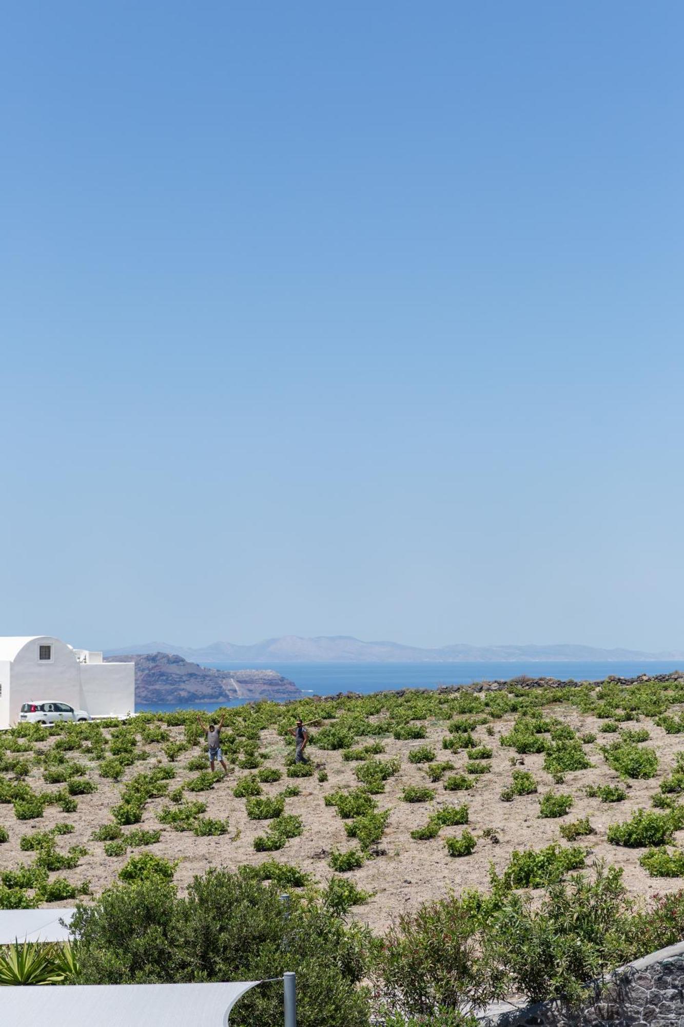 Soil Of Sun Luxury Villas Megalokori Exterior foto